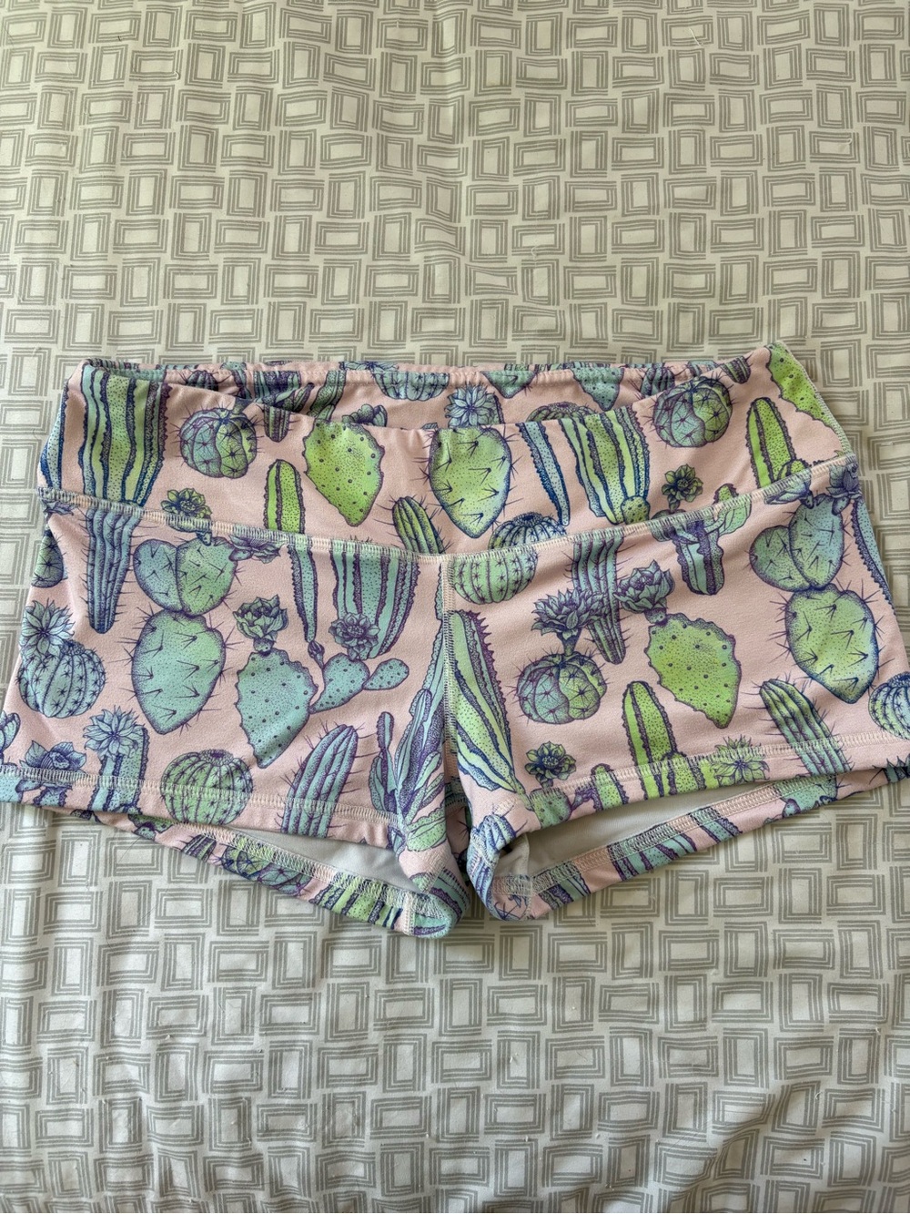 Fleo Pink Cactus Print Bike Shorts
